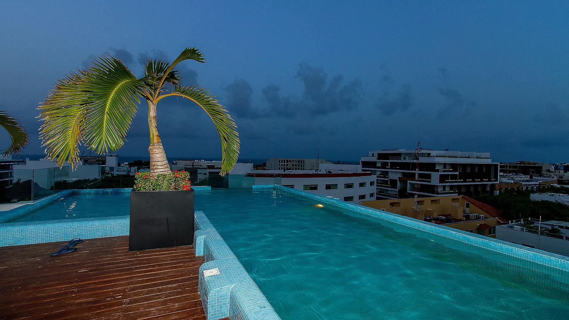 Apartament Moma 205 By Imexico Playa del Carmen 0*,